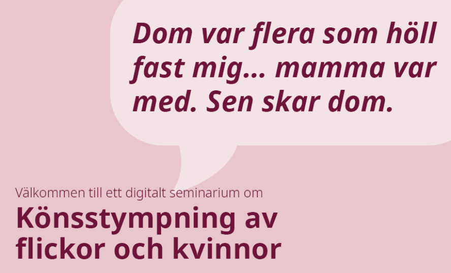 Fotograf/Källa: MUCF