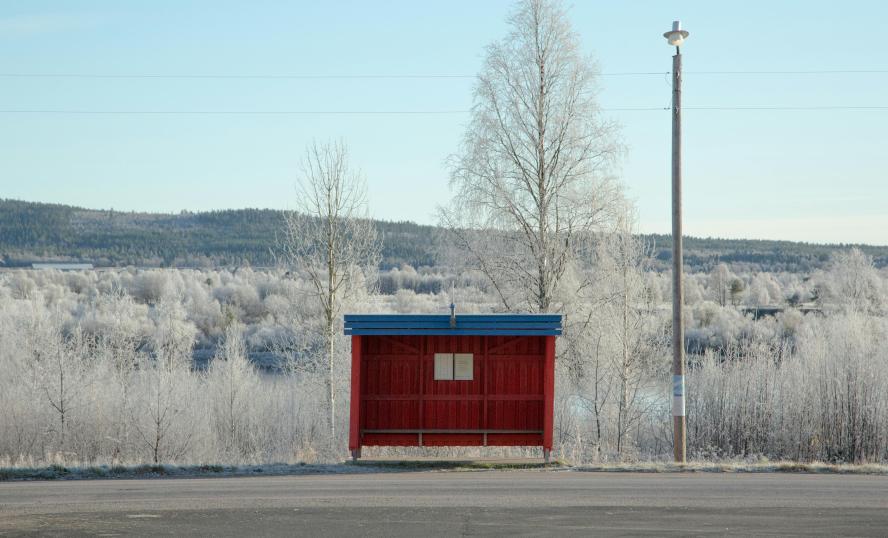 Fotograf/Källa: Martin Vemödalen/Pexels