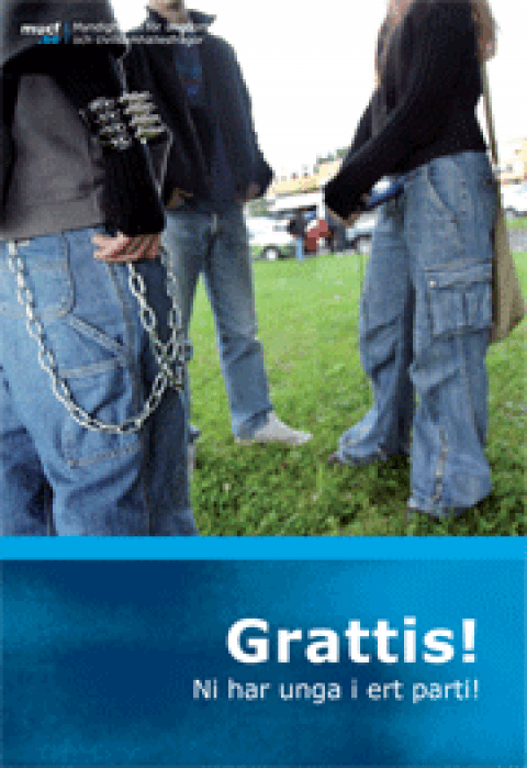 Omslag till Grattis ni har unga i ert parti.